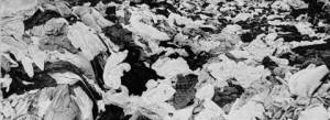 Piles of clothing from the Auschwitz child victims