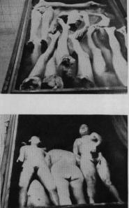 The remains of medical experiments.